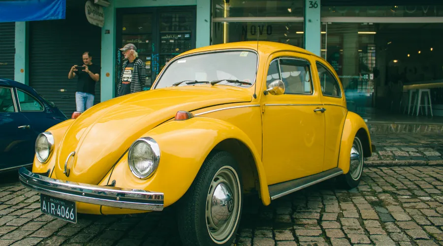 History of the Beetle