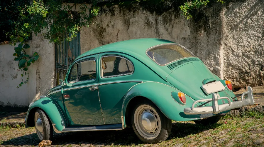 History of the Beetle